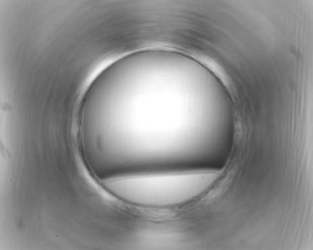 X0000091331007200708100958