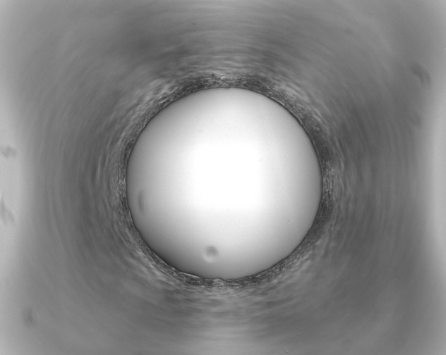 X0000091331009200708100958