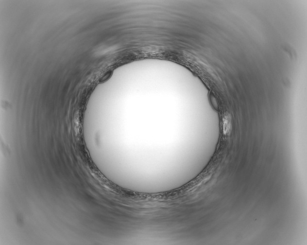 X0000091331011200708100958