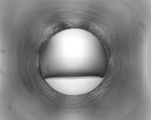 X0000091331012200708100958