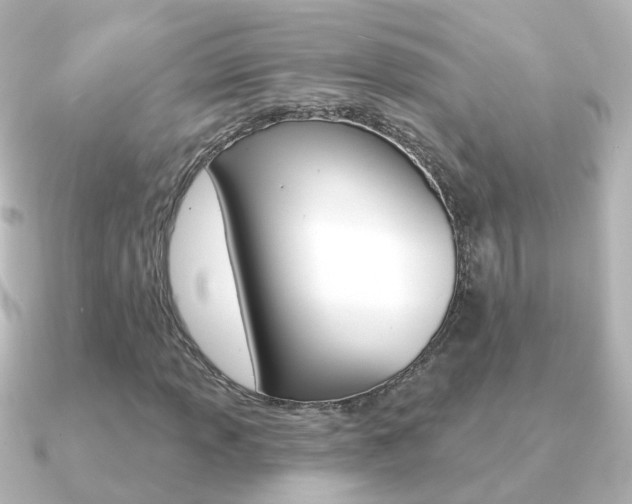 X0000091331013200708100958