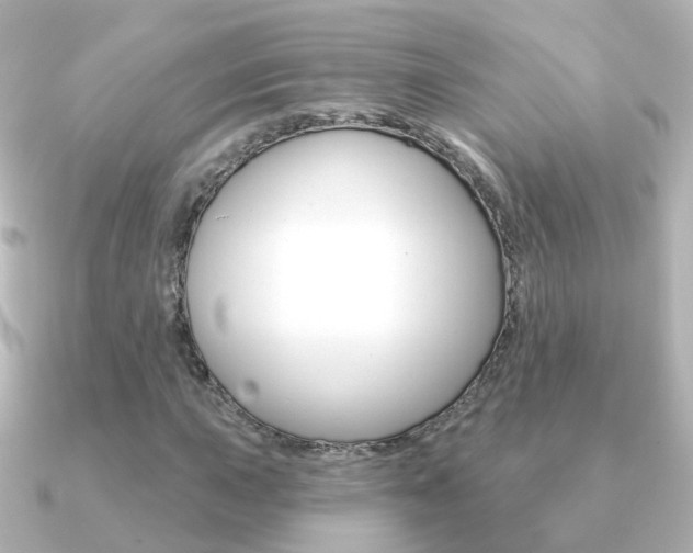 X0000091331015200708100958