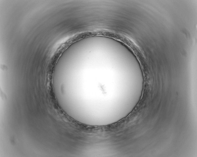 X0000091331016200708100958