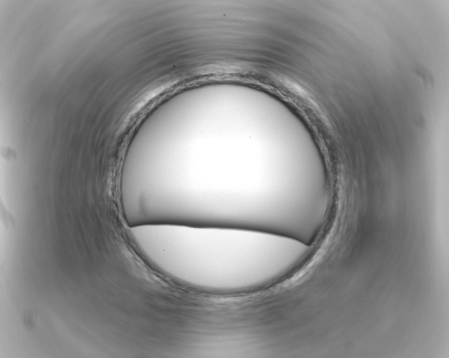 X0000091331017200708100958