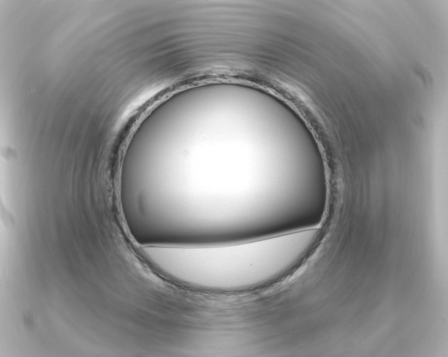 X0000091331018200708100958