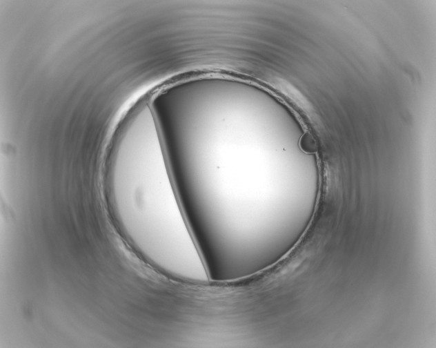 X0000091331020200708100958