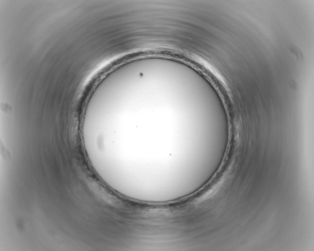 X0000091331021200708100958