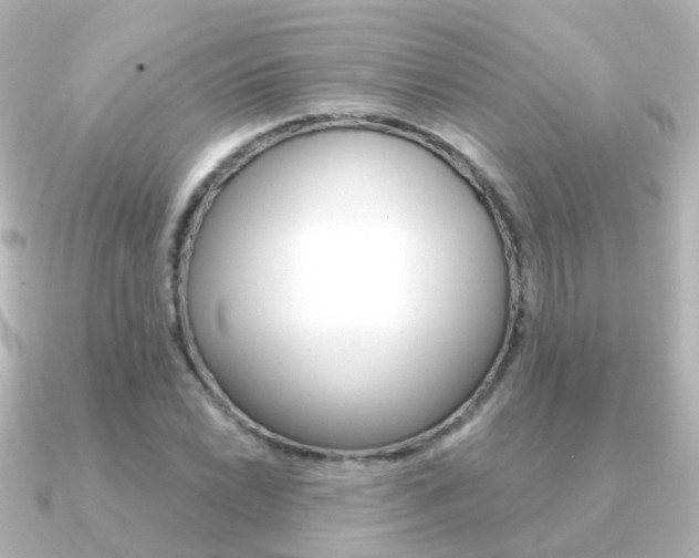 X0000091331022200708100958