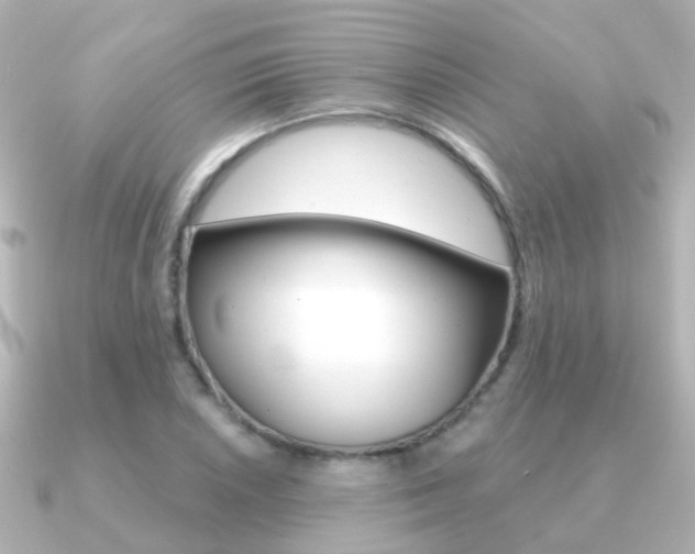 X0000091331026200708100958