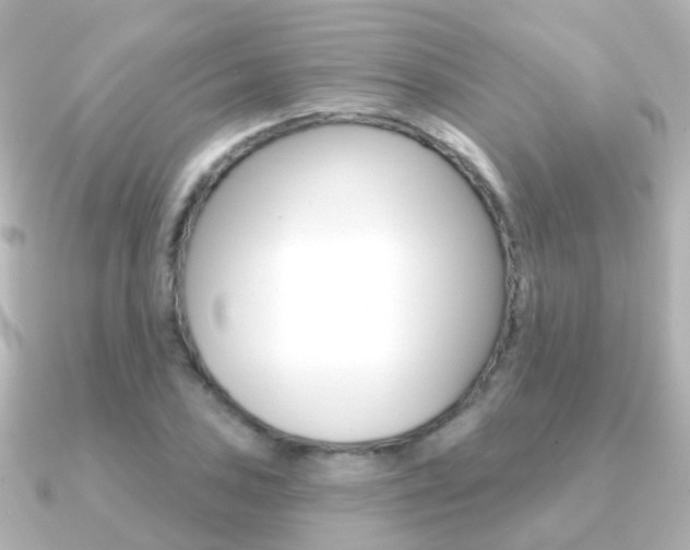 X0000091331027200708100958