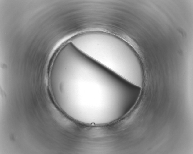 X0000091331028200708100958