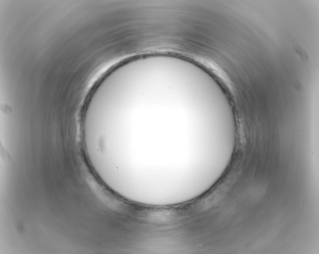 X0000091331031200708100958