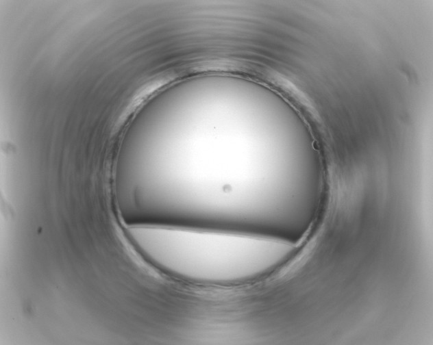 X0000091331033200708100958