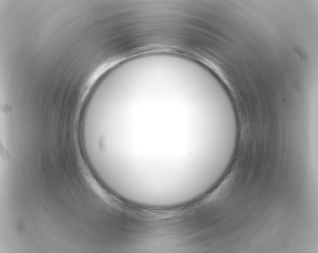 X0000091331034200708100958