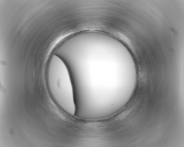 X0000091331035200708100958