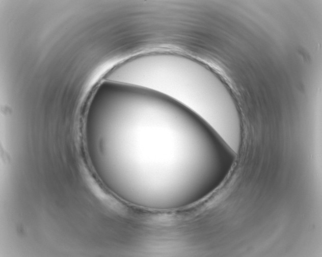 X0000091331038200708100958