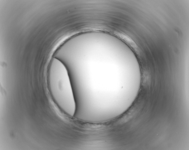 X0000091331039200708100958