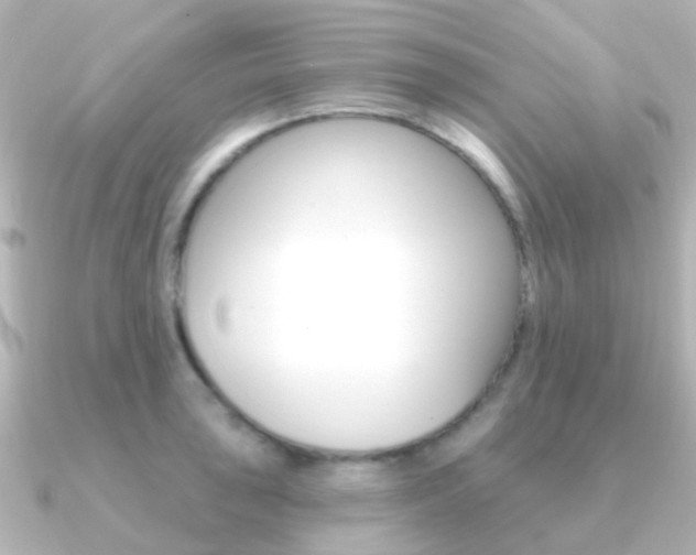 X0000091331043200708100958