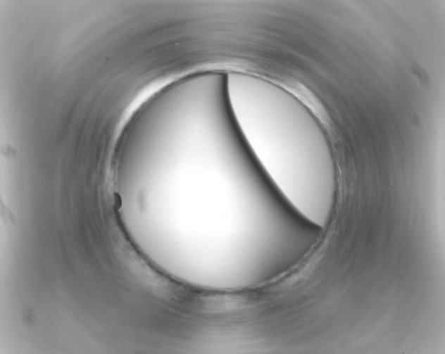 X0000091331044200708100958