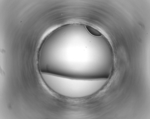 X0000091331045200708100958