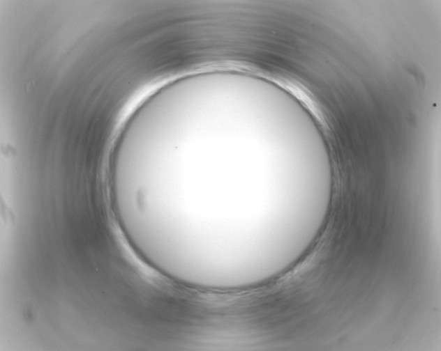 X0000091331046200708100958
