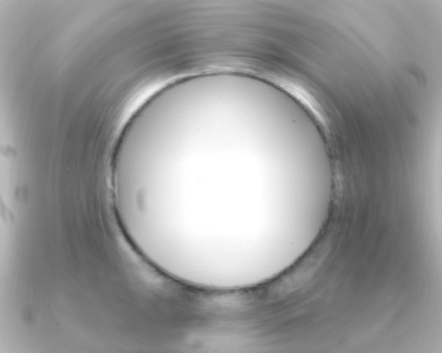 X0000091331047200708100958