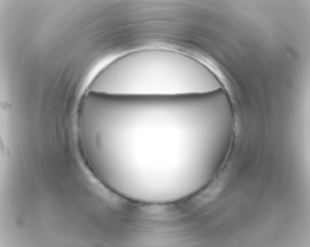 X0000091331048200708100958