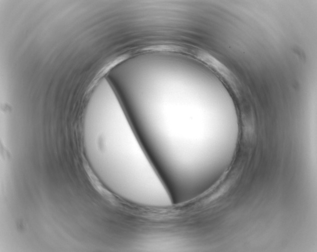 X0000091331049200708100958