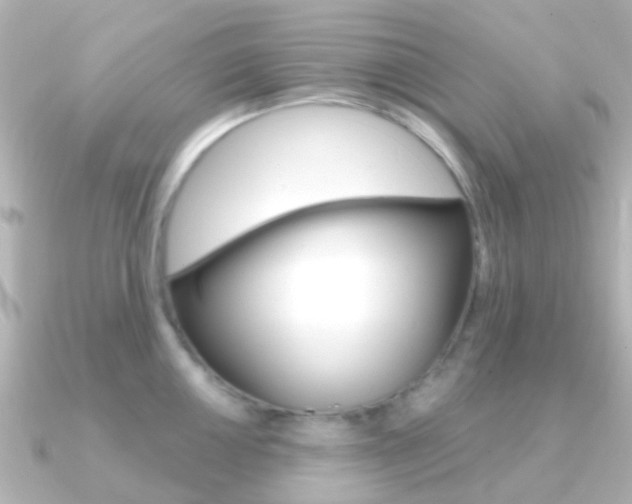 X0000091331050200708100958