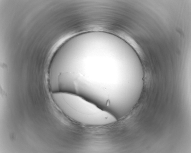 X0000091331051200708100958