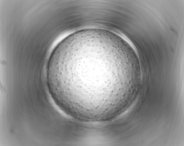 X0000091331053200708100958
