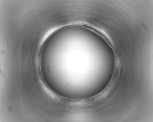 X0000091331054200708100958