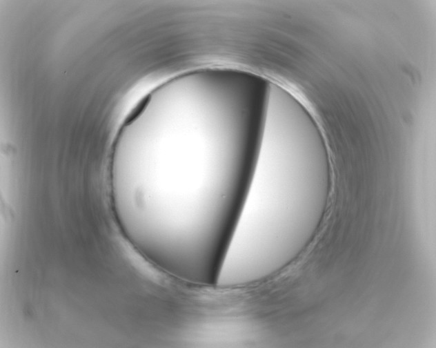X0000091331056200708100958