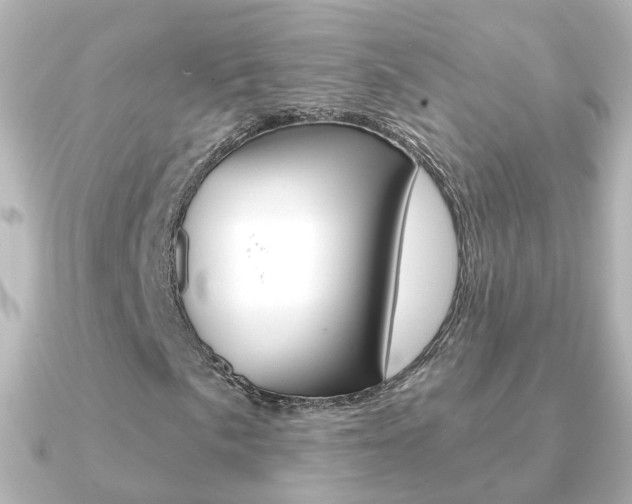 X0000091331057200708100958