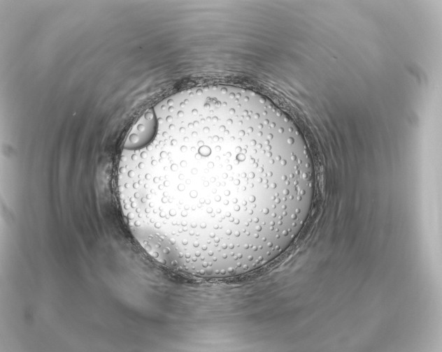 X0000091331059200708100958