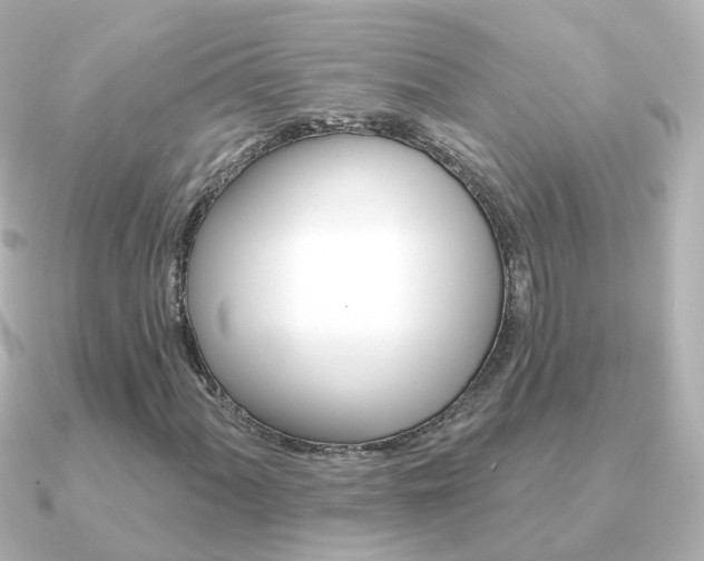 X0000091331060200708100958