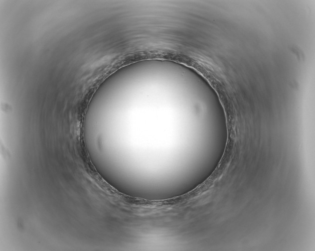 X0000091331061200708100958