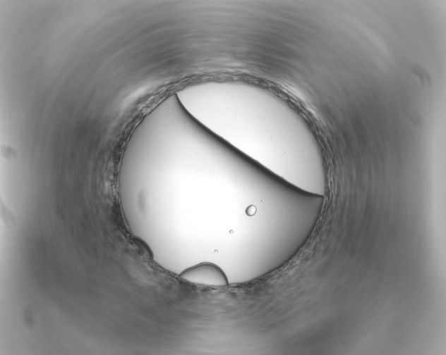 X0000091331063200708100957