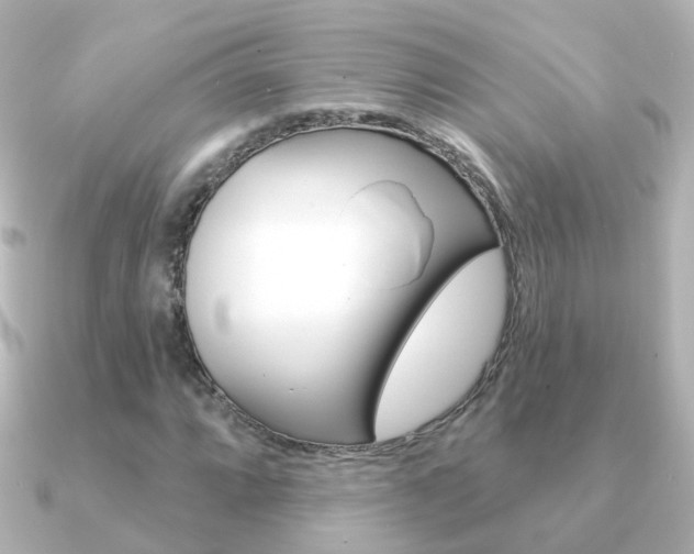 X0000091331064200708100957