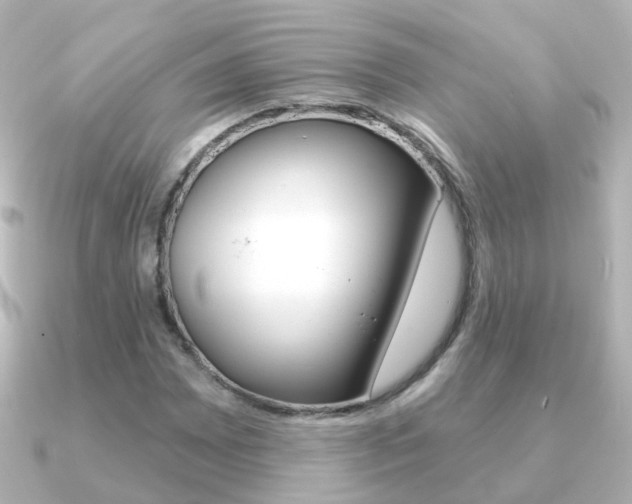 X0000091331065200708100957