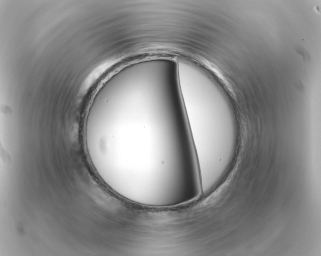 X0000091331066200708100957