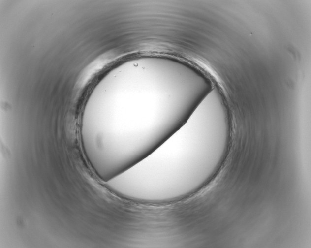 X0000091331067200708100957