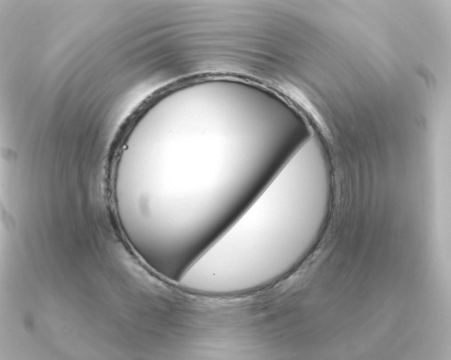 X0000091331068200708100957