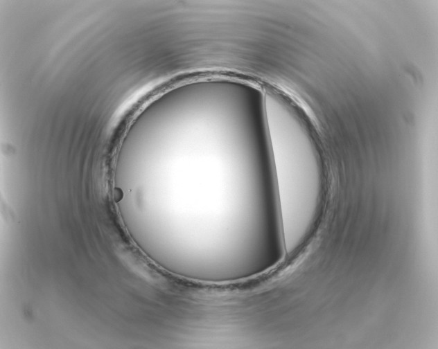 X0000091331069200708100957