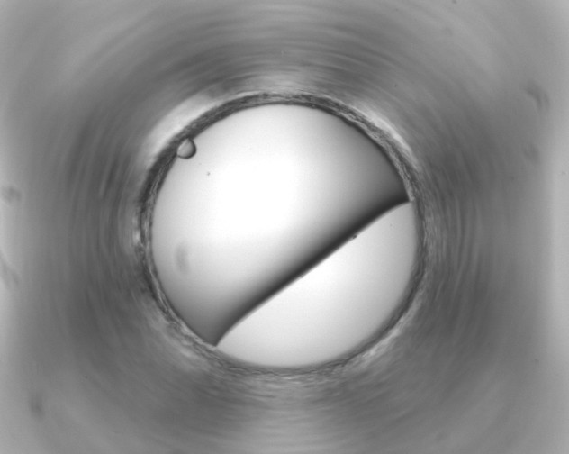 X0000091331070200708100957