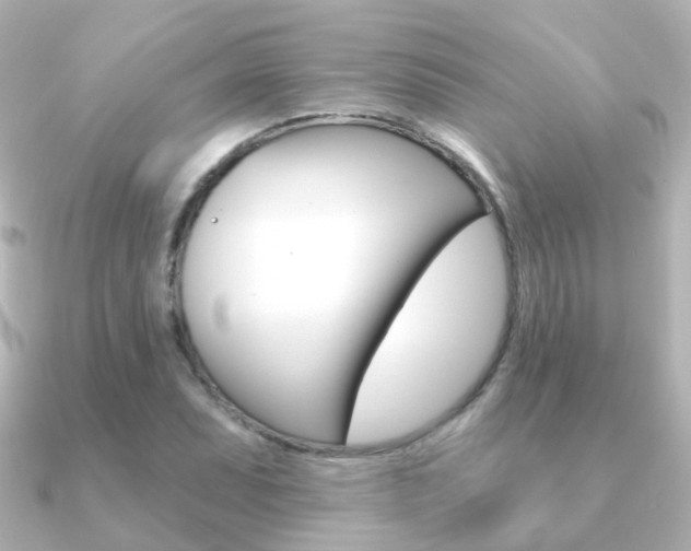 X0000091331071200708100957