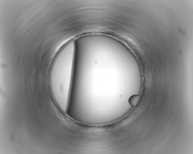 X0000091331073200708100957