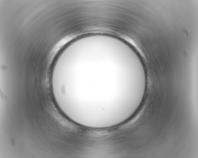 X0000091331074200708100957