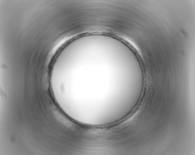 X0000091331075200708100957