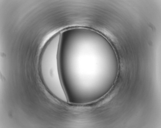 X0000091331077200708100957
